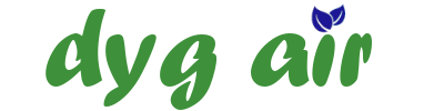 Dyg